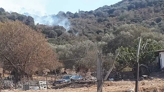 Bodrum'da makilik yangını