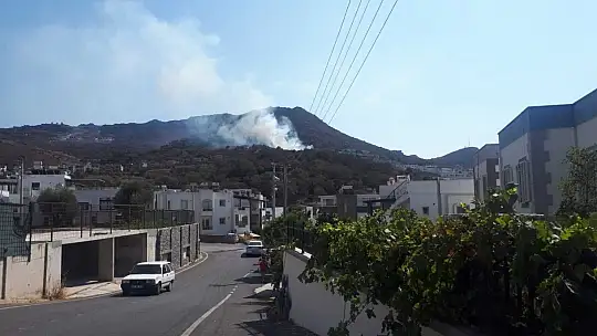 Bodrum'da makilik yangını