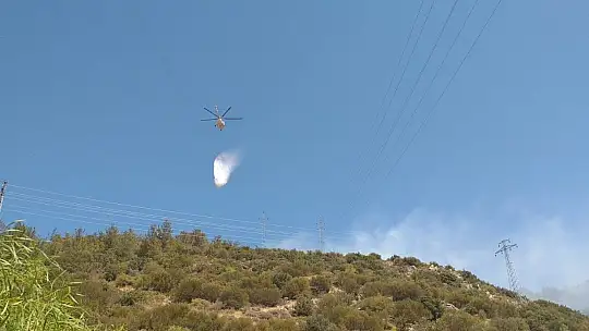 Bodrum'da orman yangını