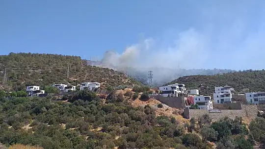 Bodrum'da orman yangını