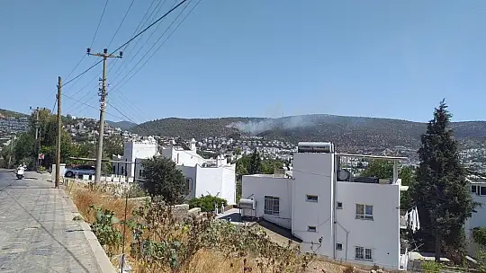 Bodrum'da orman yangını
