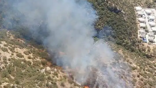Bodrum'da orman yangını