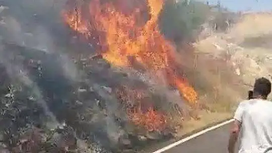 Bodrum'da otluk ve makilik alanda yangın çıktı