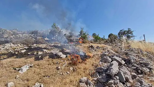 Bodrum'da otluk ve makilik alanda yangın