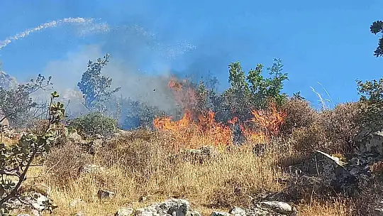 Bodrum'da otluk ve makilik alanda yangın