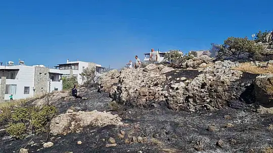 Bodrum'da otluk ve makilik alanda yangın