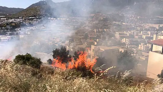 Bodrum'da otluk ve makilik alanda yangın