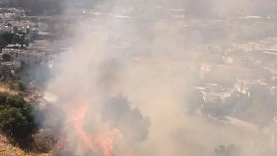 Bodrum'da otluk ve makilik alanda yangın