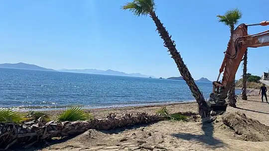 Bodrum'da sahil işgalden kurtarıldı