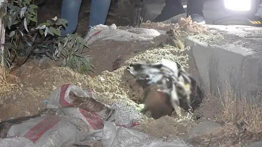 Bodrum'da vahşi cinayet: Kum dolu çuvalın içinden ceset çıktı