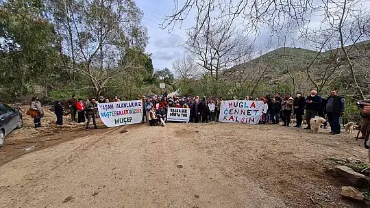 Bodrum'da yanan alanlara hafriyat dökülmesine ses yükselttiler