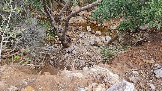 Bodrum'da yanan alanlara hafriyat dökülmesine ses yükselttiler