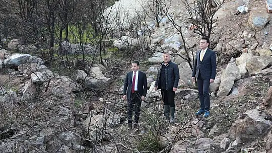 Bodrum'da yanan ormanlık alan kaçak hafriyatla doldu