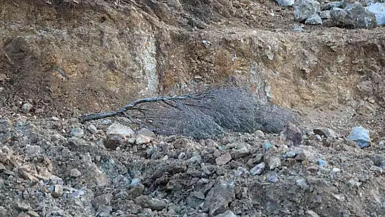 Bodrum'da yanan ormanlık alan kaçak hafriyatla doldu