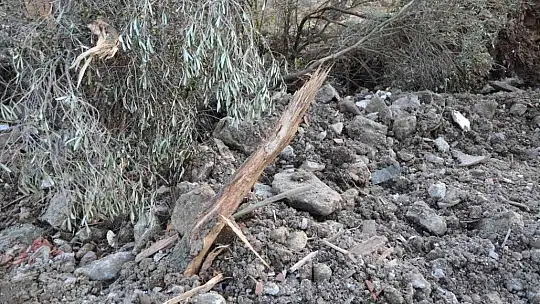 Bodrum'da yanan ormanlık alan kaçak hafriyatla doldu