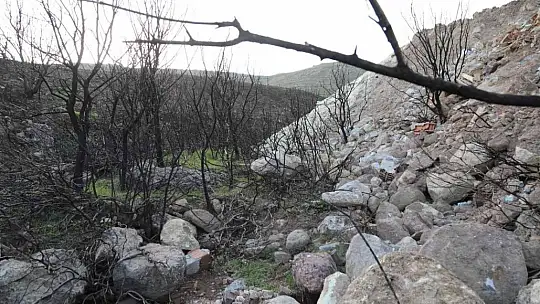 Bodrum'da yanan ormanlık alan kaçak hafriyatla doldu