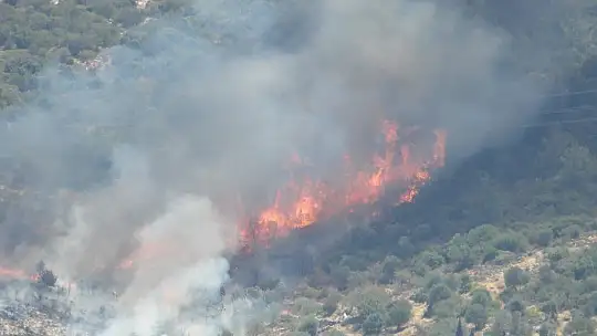 Bodrum'da yangınlar büyüyor, bazı ev ve oteller tahliye ediliyor