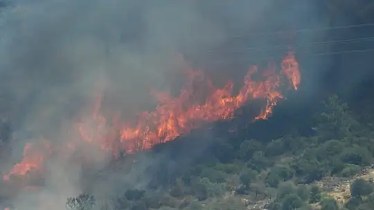 Bodrum'da yangınlar büyüyor, bazı ev ve oteller tahliye ediliyor