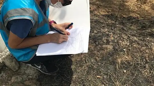 Bodrum'da yaralar sarılmaya başlandı