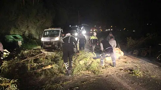 Bodrum'da yıkılan ağaçlar yolları kapattı