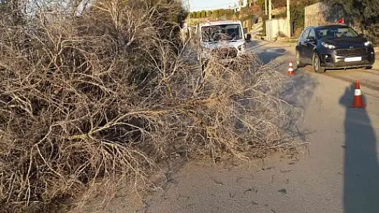 Bodrum'da yıkılan ağaçlar yolları kapattı