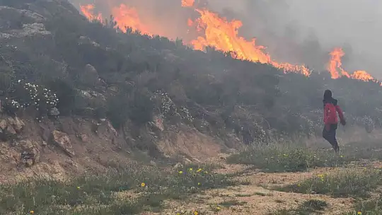 Bodrum'daki orman yangını 6 saat sonunda kontrol altına alındı