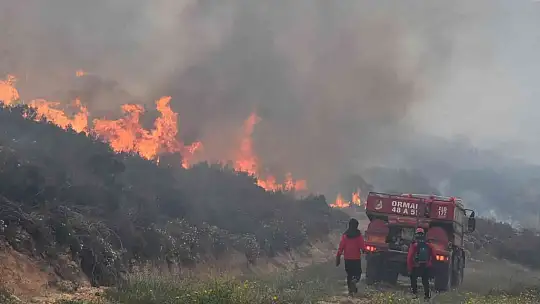 Bodrum'daki orman yangını 6 saat sonunda kontrol altına alındı