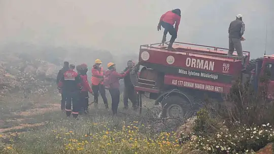 Bodrum'daki orman yangını 6 saat sonunda kontrol altına alındı