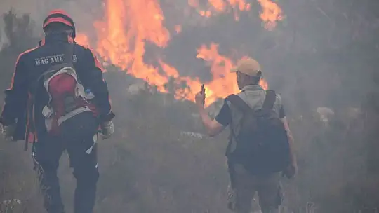 Bodrum'daki orman yangını 6 saat sonunda kontrol altına alındı