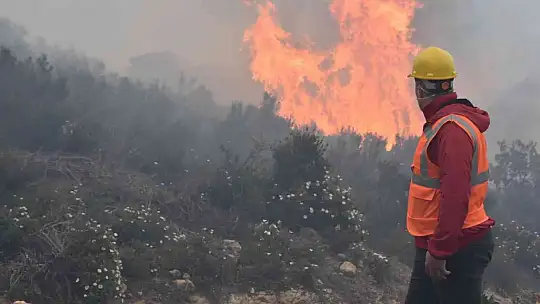 Bodrum'daki orman yangını 6 saat sonunda kontrol altına alındı