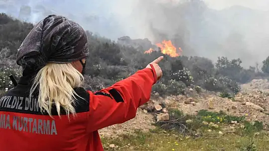 Bodrum'daki orman yangını 6 saat sonunda kontrol altına alındı