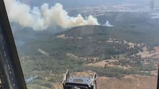 Bodrum'daki orman yangını kontrol altına alındı