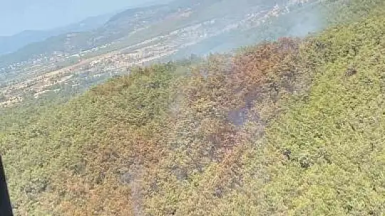 Bodrum'daki orman yangını kontrol altına alındı
