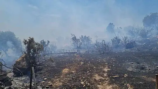 Bodrum'daki yangın 3 saatlik çalışmayla söndürüldü