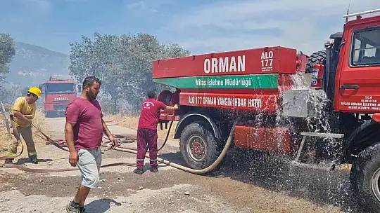 Bodrum'daki yangın 3 saatlik çalışmayla söndürüldü