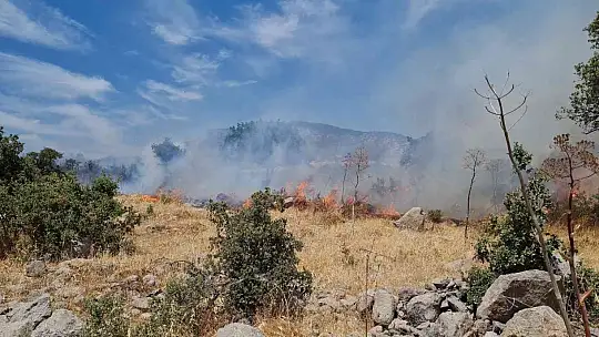 Bodrum'daki yangın 3 saatlik çalışmayla söndürüldü