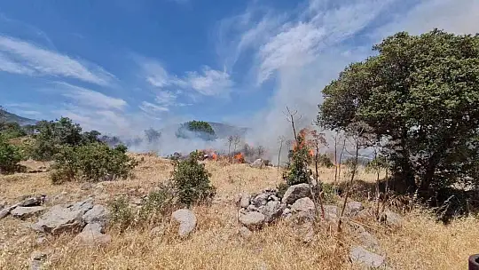 Bodrum'daki yangın 3 saatlik çalışmayla söndürüldü