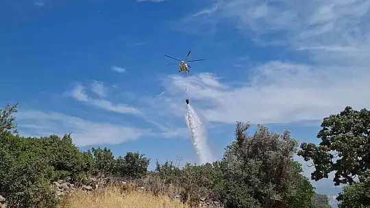 Bodrum'daki yangın 3 saatlik çalışmayla söndürüldü