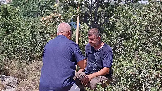 Bodrum'daki yangın 3 saatlik çalışmayla söndürüldü