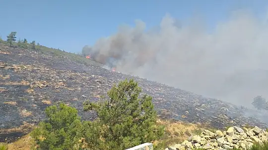 Bodrum'daki yangına havadan ve karadan müdahale ediliyor