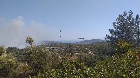 Bodrum'daki yangına havadan ve karadan müdahale ediliyor