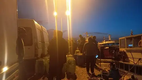 'Avcılık değil yağma yapıyorlar'