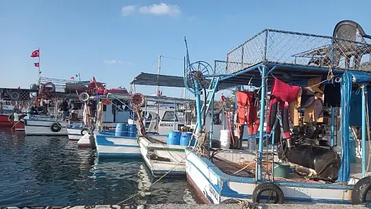 'Avcılık değil yağma yapıyorlar'
