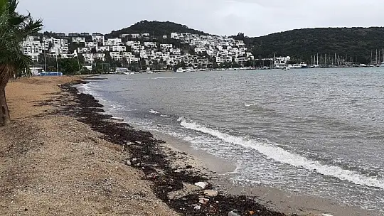 Bodrum sahilleri bomboş kaldı