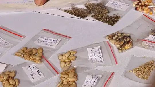 Bodrum Tohum Takas Şenliği'nde ata tohumları el değiştirdi