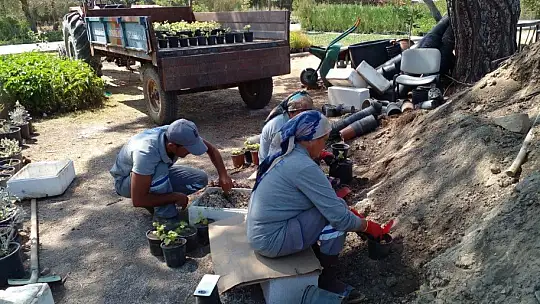 Bodrum'u güzelleştirmek için kendileri yetiştiriyor
