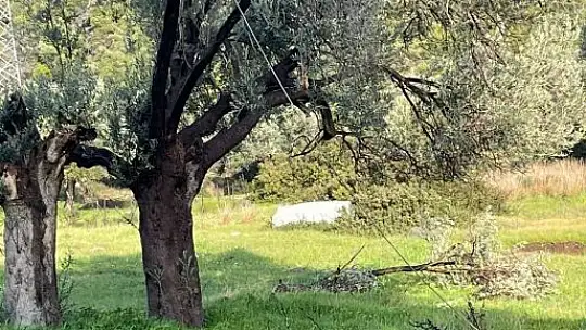 Bodrum'u hortum vurdu