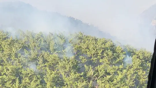 Bodrum ve Milas'ta yanan alanlar havadan görüntülendi