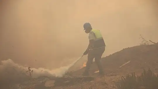 Bodrum yeniden alevlere teslim oldu