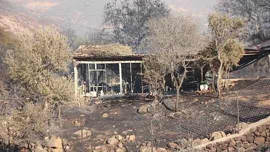 Bodrum yeniden alevlere teslim oldu